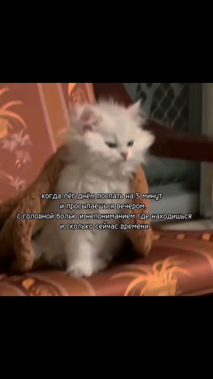 Нина в LOOKY. . 