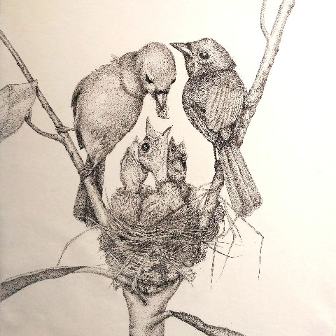 gaiagallery.sid в LOOKY. #точкотыканье,#точки,#nft,#nftart,#pointillism,#drawing,#рисунокточками,#арт,#art,#artwork,#graphic,#illustration,#графика,#иллюстрация,#pendraw,#gaiagallery,#рисунок,#художник,#artist,#птицы,#bird,#birds. Птички🐦 (старая раб...