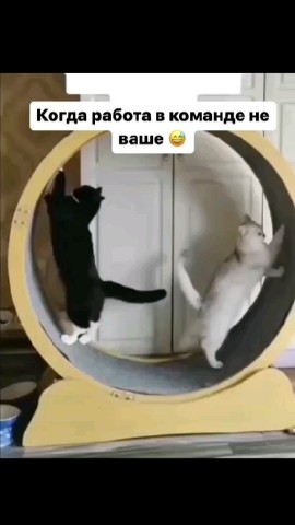 pisarenko4397 в LOOKY. . Вот почему я  не сет...
