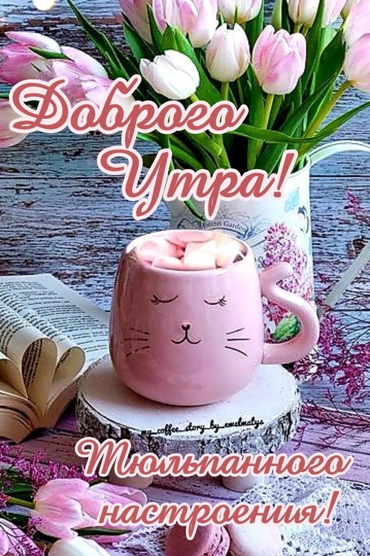 Lyubov66 в LOOKY — публикация