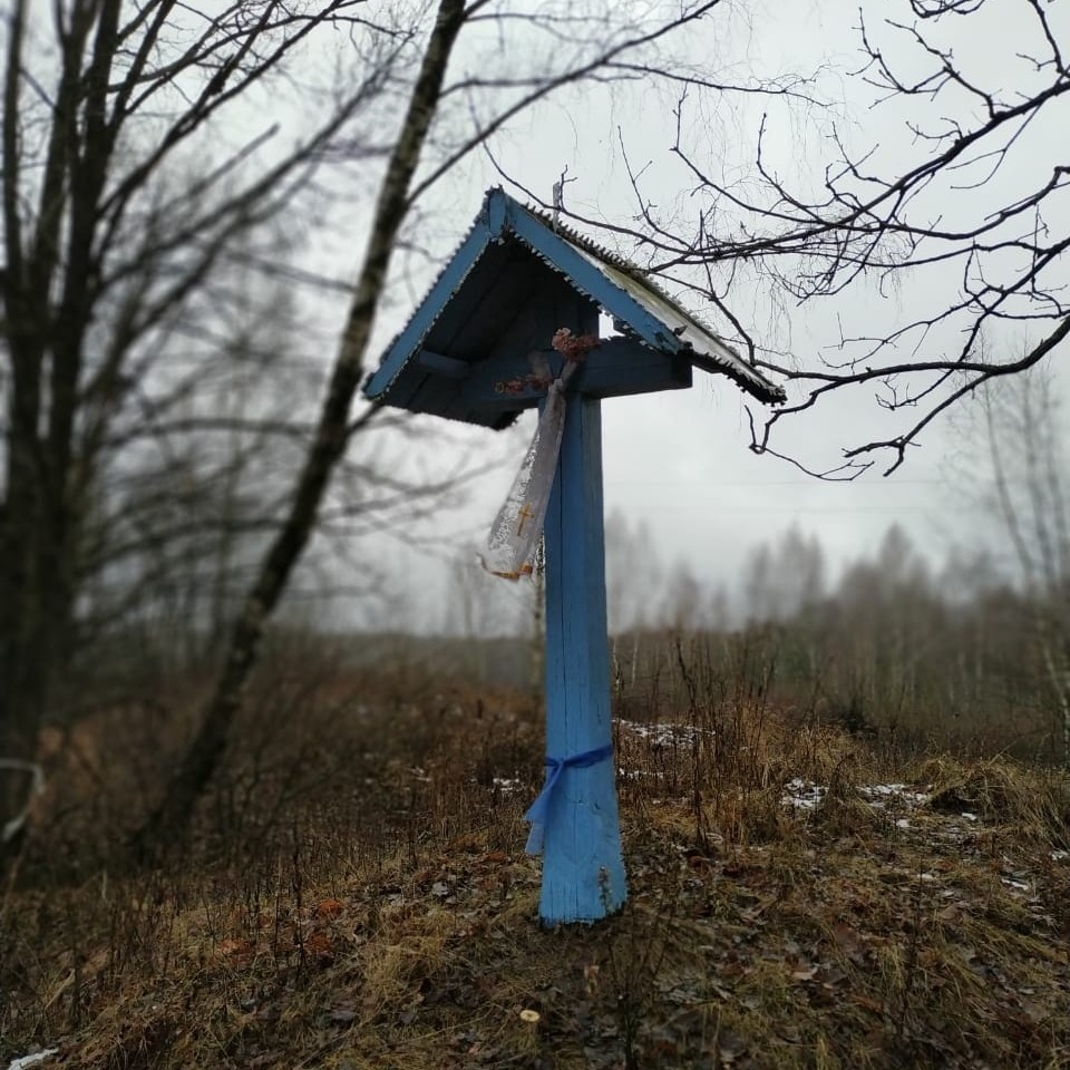 Где-то в Брянской области... #брянская_область #религия #мрачное #память #крест #города #природа