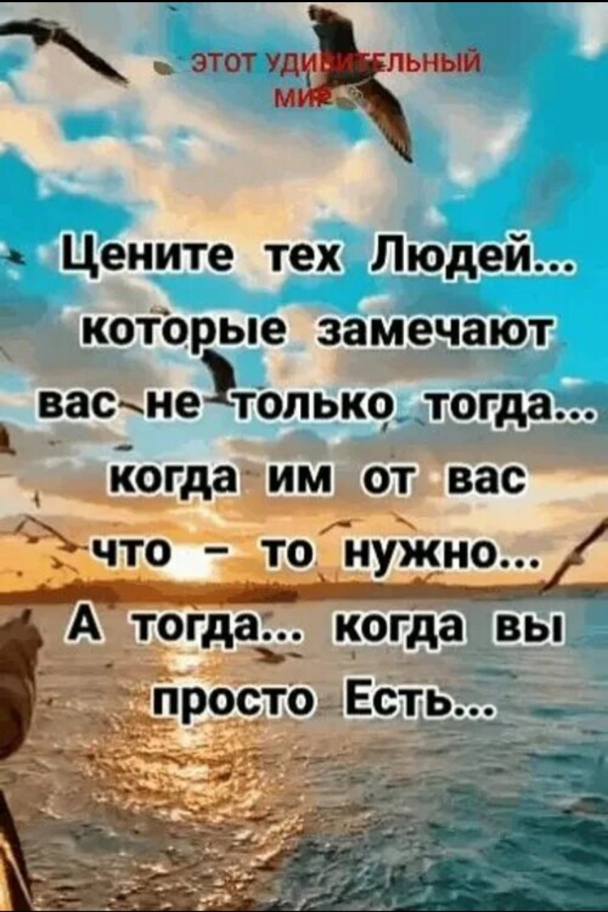ЛУЧИК в LOOKY — #мысли_в_слух
#закон_жизни
#отдых
#подписывайся  
#ставьлайк