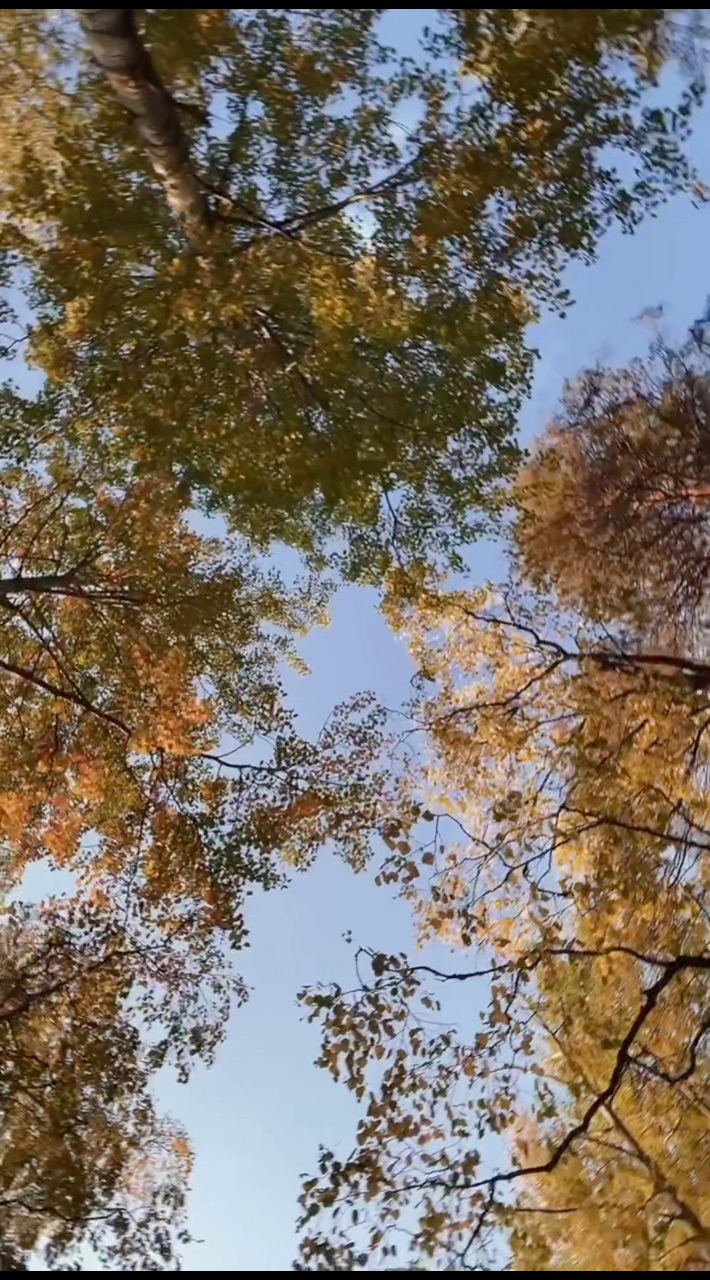 ST_777 в LOOKY. . Осень 🍂
~•~•~
Народ...