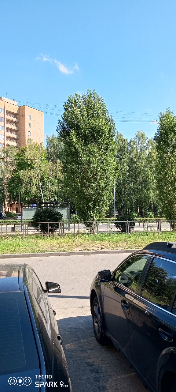 Olguita в LOOKY — публикация