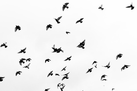 thelivingone в LOOKY. . Текстуры, которые ра...