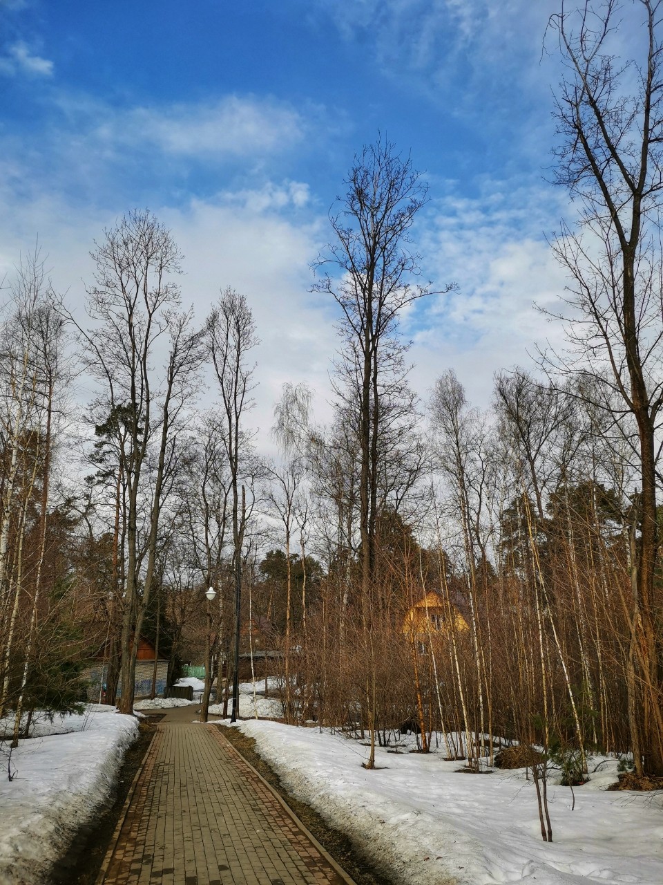 sakura1315 в LOOKY. #весна,#природа,#апрель,#небо,#пейзаж,#photo,#spring,#april,#looky,#looky_Top,#looky_official. ✨ Апрельская красота...