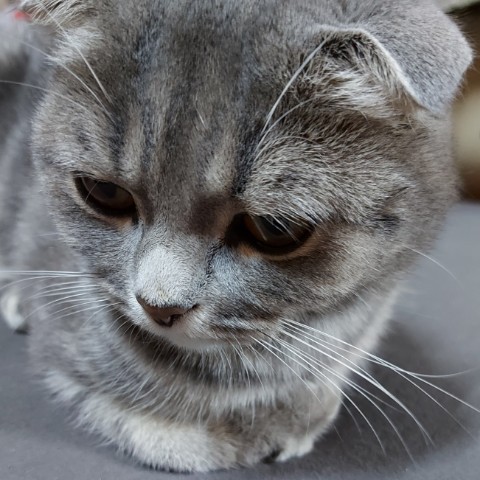 Looky_172865299268748 в LOOKY. . 