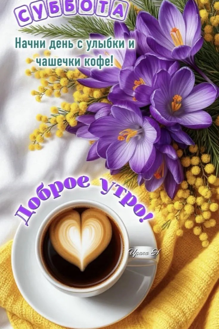 Сириус в LOOKY — публикация