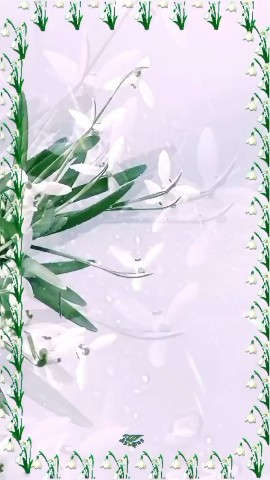 lev_ledy в LOOKY. . 