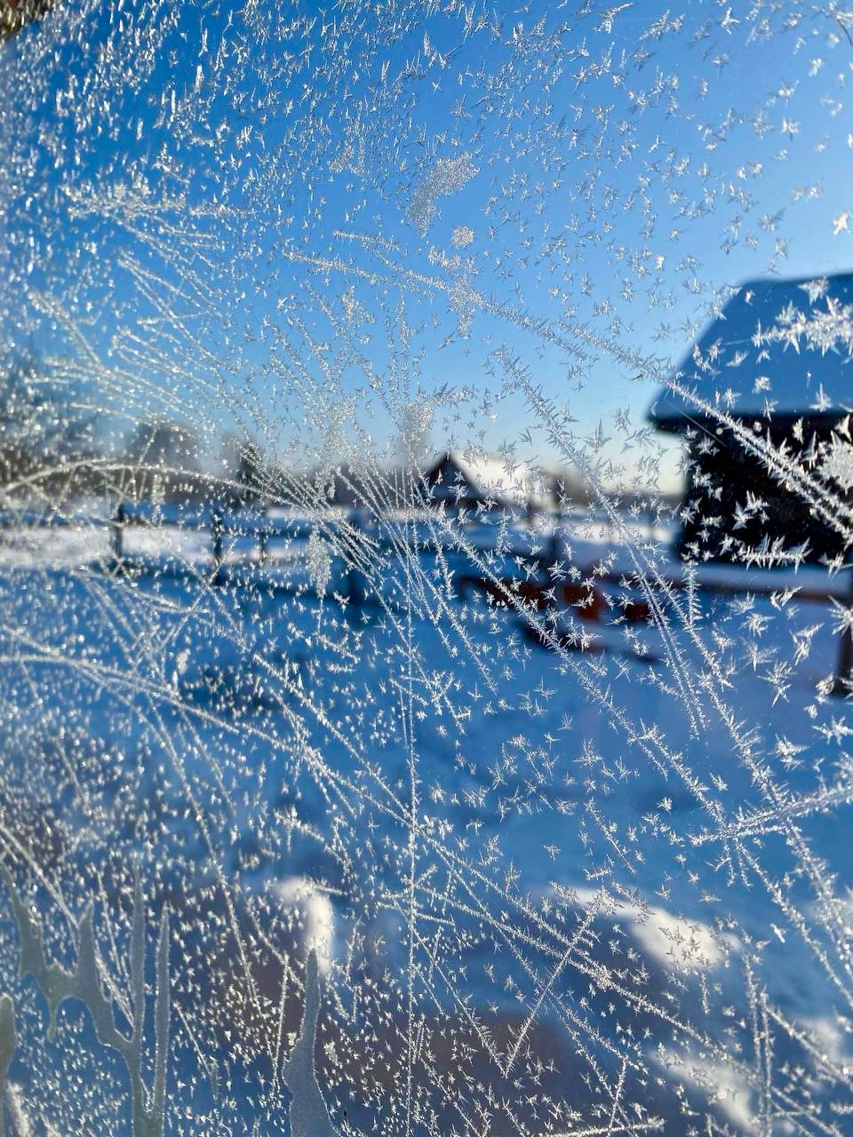 archizelig в LOOKY. #зима,#2026. Морозы нарисовали #з...