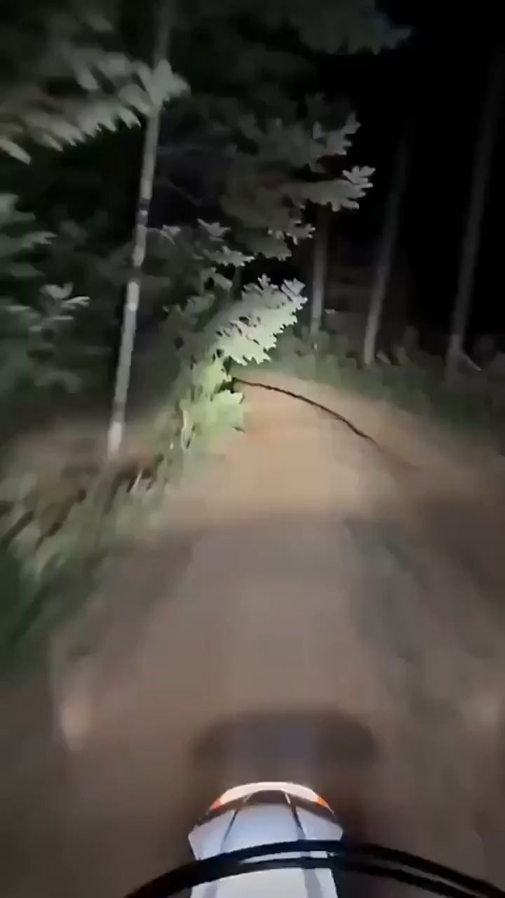 Космический Зайчик