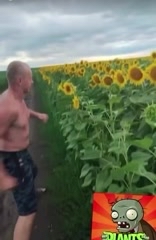 Emae_memes в LOOKY. #mem,#memes,#plantvszomies. #mem #memes #plantvs...