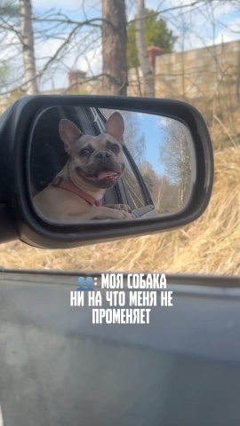 Зина и Майки in LOOKY. #150262548. У кого так же? 😂

В...