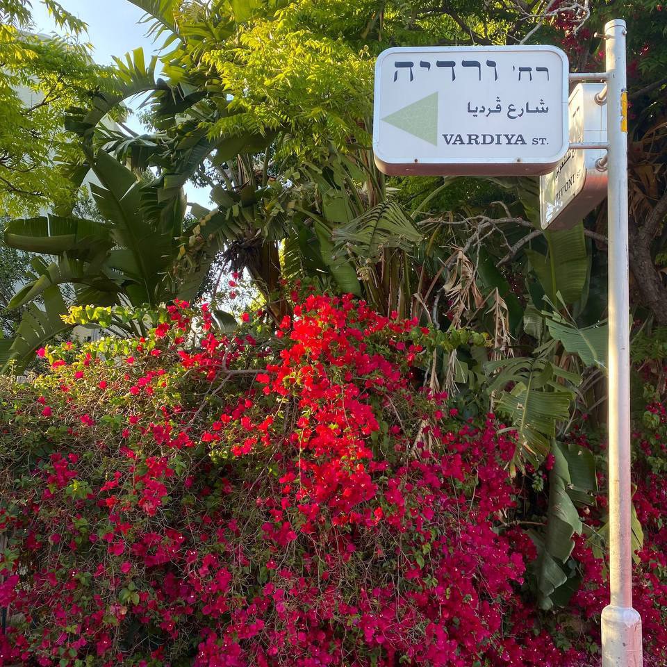 🌺💖
[#flowers ](flowers)[#iloveisrael ](iloveisrael)[#israeli_moments ](israeli_moments)[#beautiful ](beautiful)