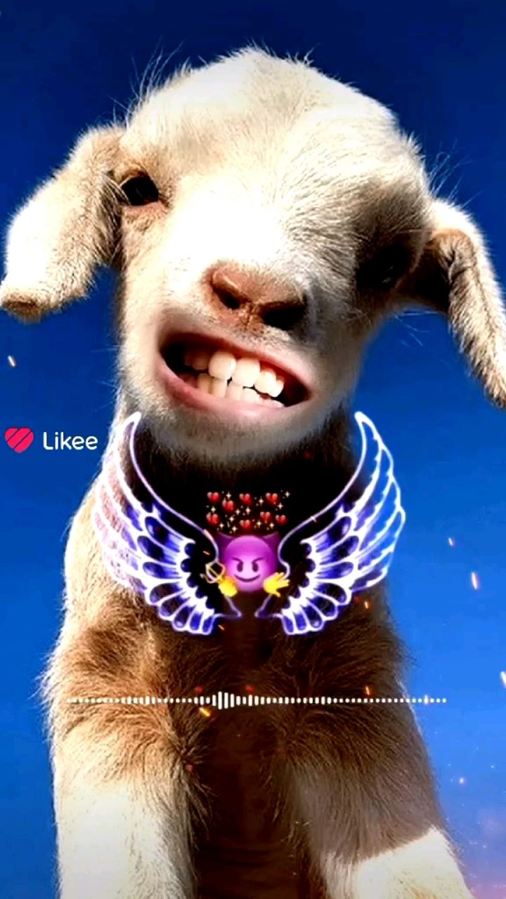 SergBoom в LOOKY — публикация