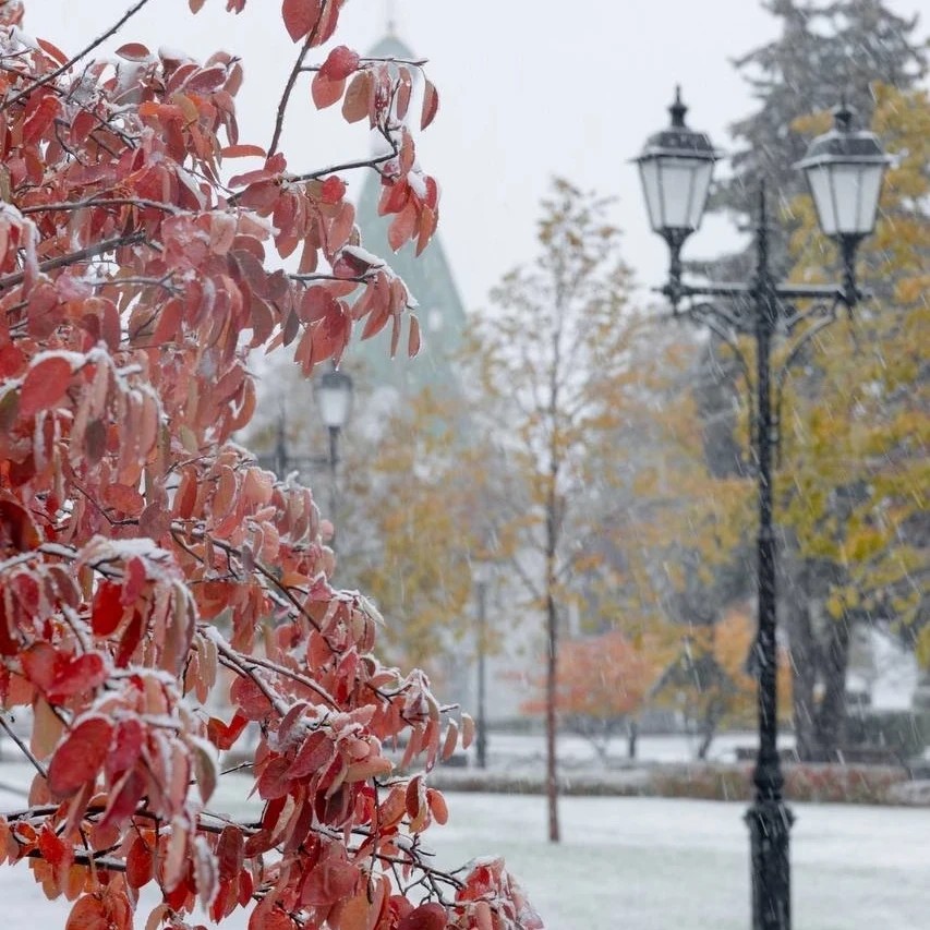 Anasteziya в LOOKY — Нижний в снежном убранстве 🌨️