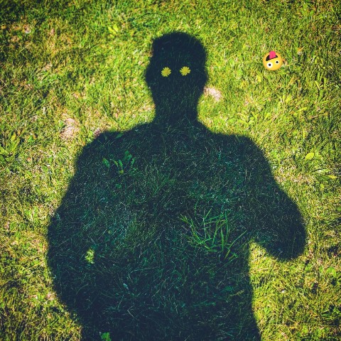 Mihnovets в LOOKY. #photoonphone. [#photo](photo) [#ph...