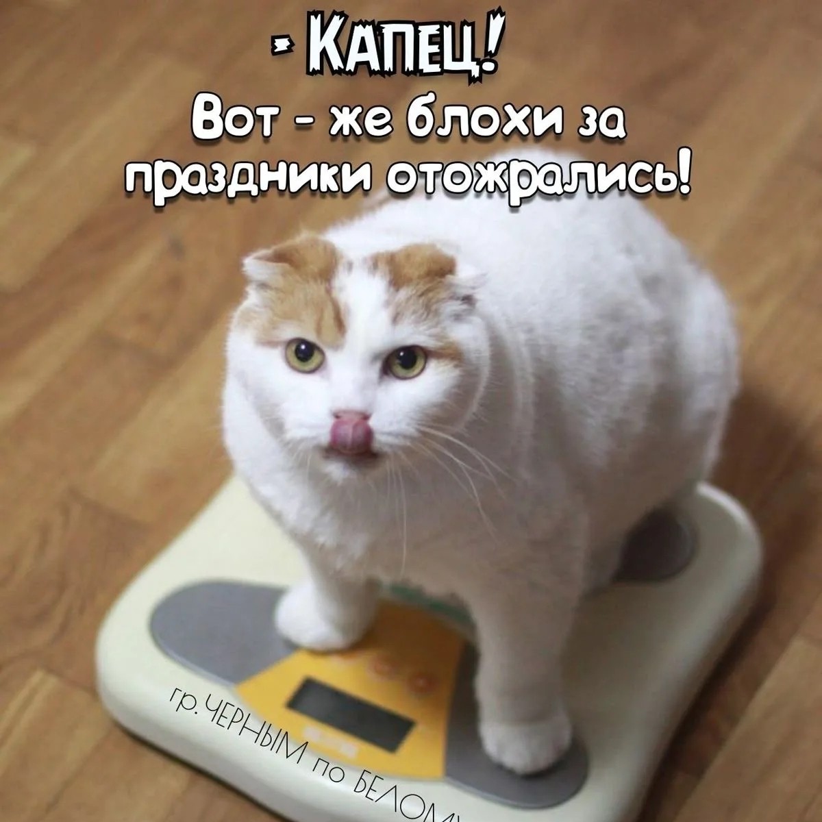 pinchuk_brand в LOOKY. . Немножко юмора.