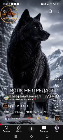 artem в LOOKY — публикация