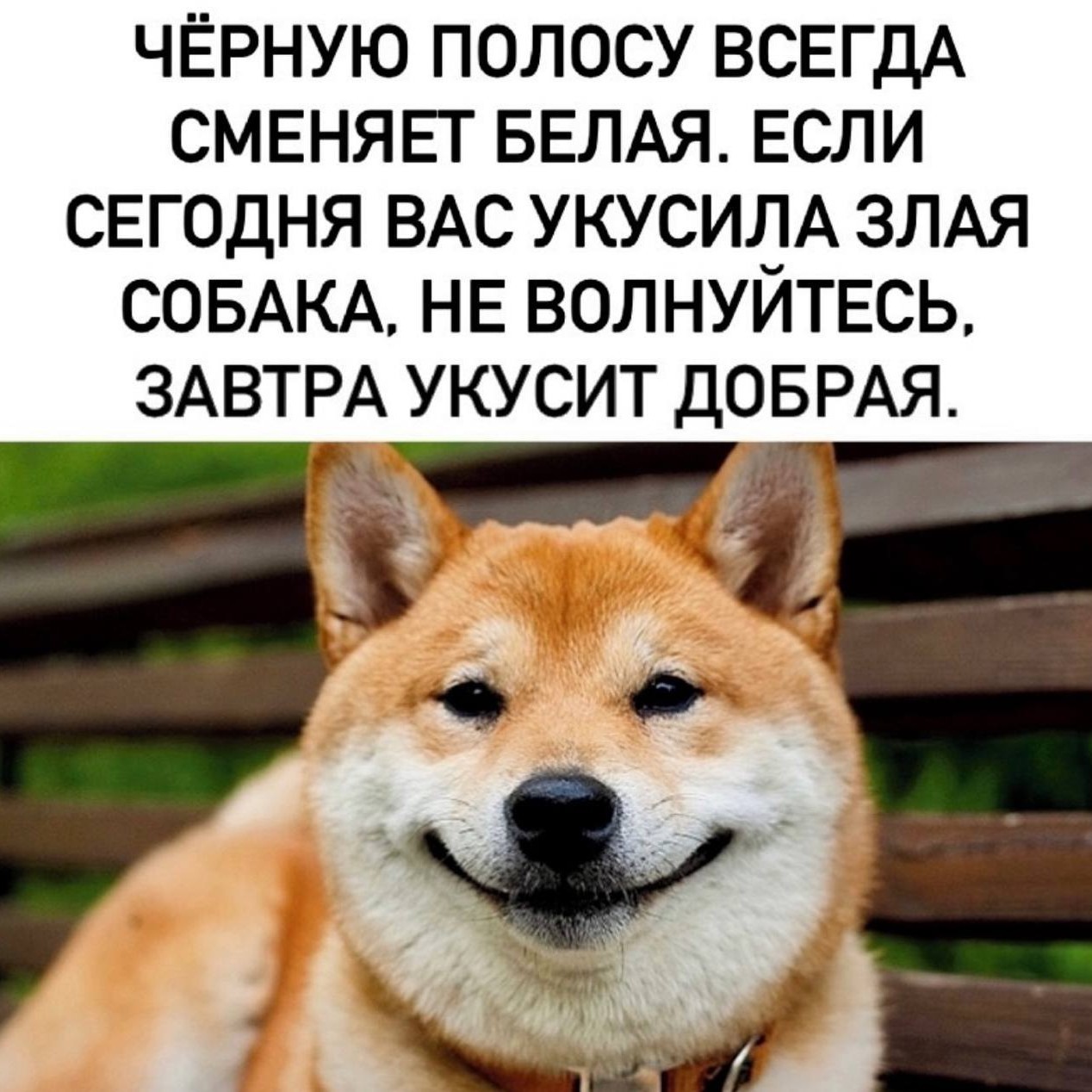 [#МастерскаяФэншуй](МастерскаяФэншуй) [#обучениеОнлайн](обучениеОнлайн) [#ицзин](ицзин) 