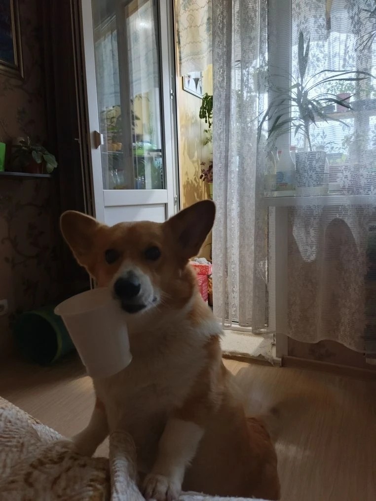 Юлия Марышева в LOOKY — Юлианка#попрошайка#