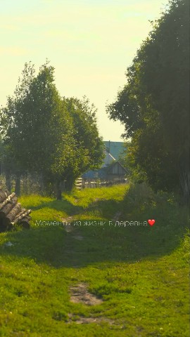 LOOKY_1697280774486 в LOOKY — Ранние осенние деньки в деревне, республика Башкортостан!