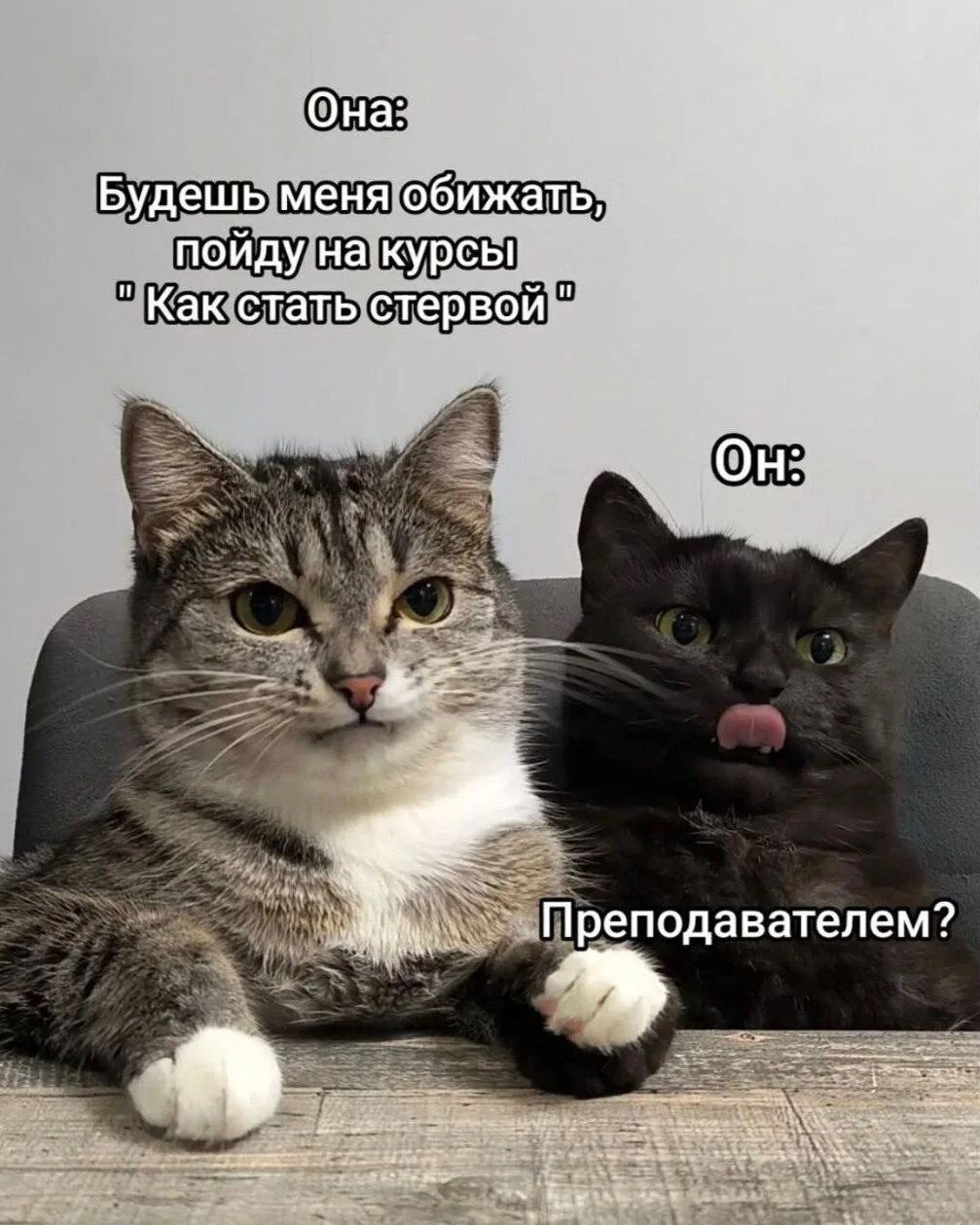  в LOOKY — 😀😜