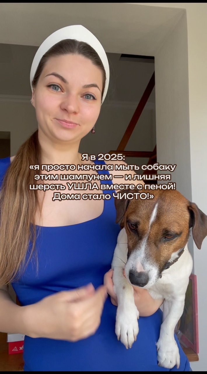 Собака Бэтмен в LOOKY. #219926965. 🐾 Достало выпадение...