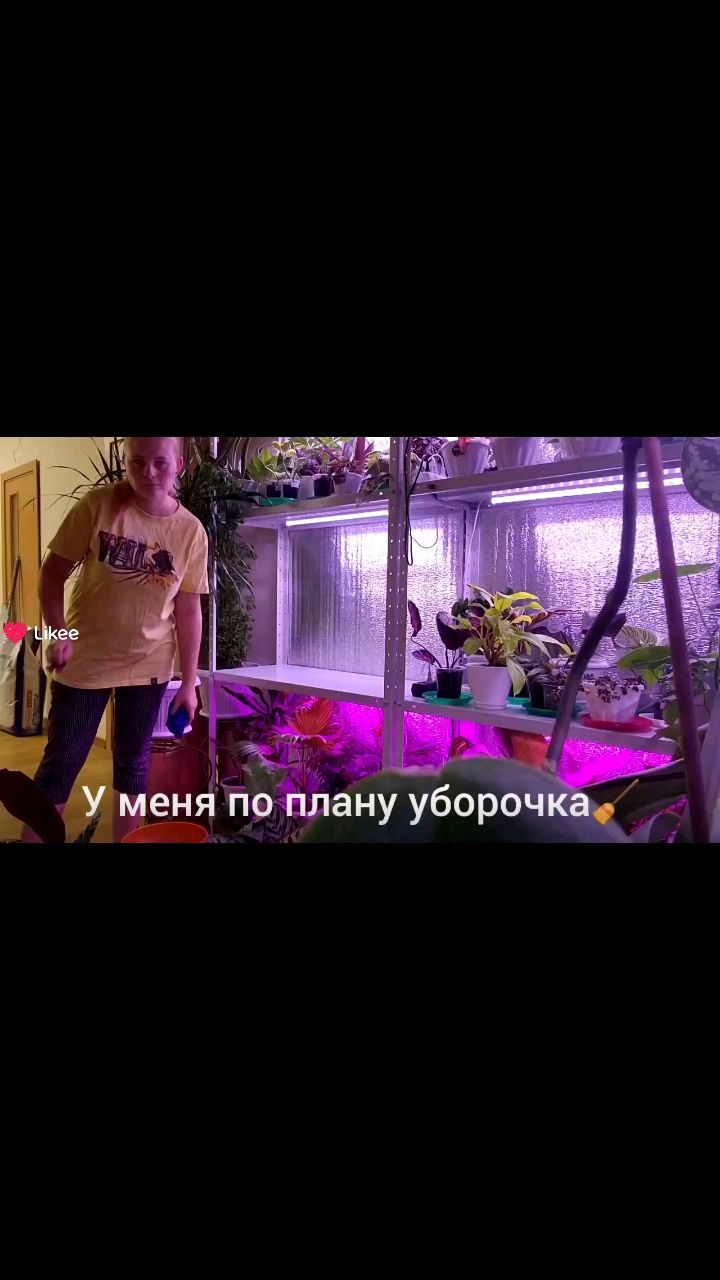 alisa_country_life в LOOKY. . 