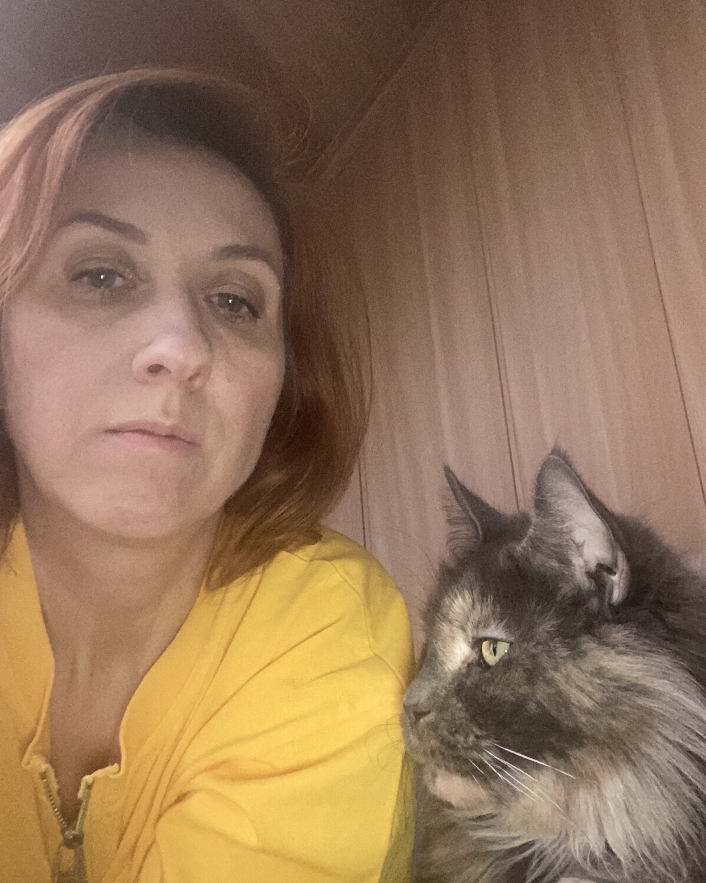 Альянс Ступино in LOOKY