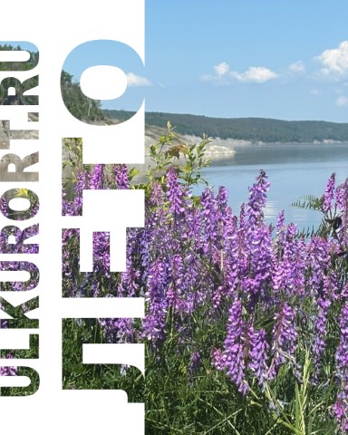 ulkurort в LOOKY. #ulkurort,#ундоры,#санаторийленина,#санаторийдубки,#кемпингчайка,#русскиекарловывары,#минеральнаявода,#отдыхвРоссии. Что такое осознанный...