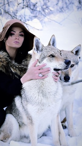 Julie в LOOKY. . [#wolf](wolf) 