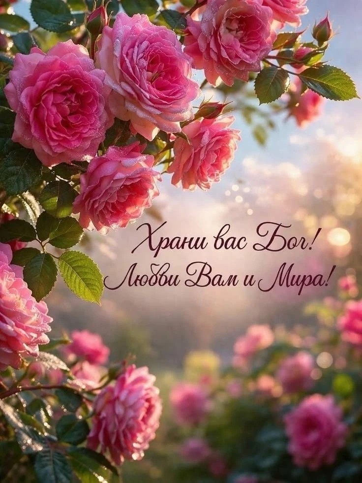 Tatiana Ubushaeva в LOOKY — публикация