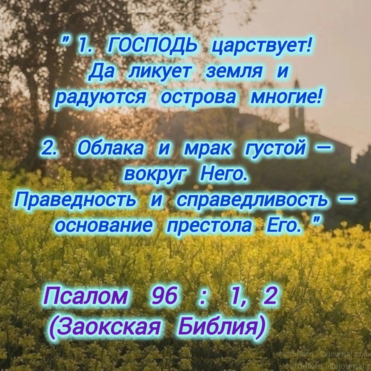 Алёна в LOOKY — фото 1