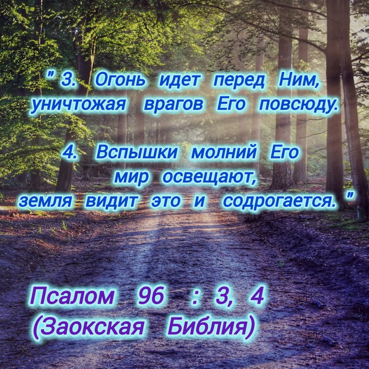 Алёна в LOOKY — фото 2