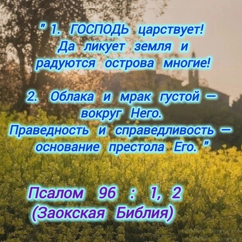 Looky_178922903825886 в LOOKY. . 