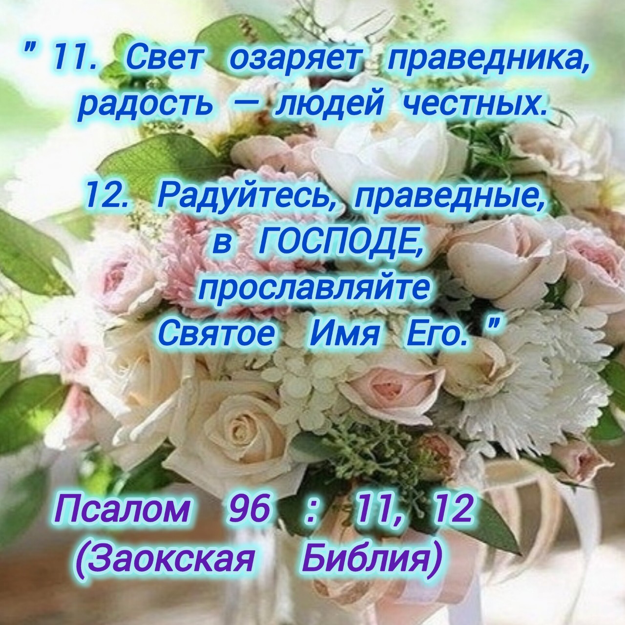 Алёна в LOOKY — фото 6