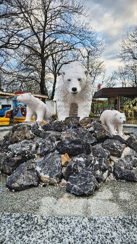 Роза в LOOKY. . ♥️♥️🩷♥️♥️