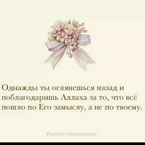Looky_176788162729133 в LOOKY. . 