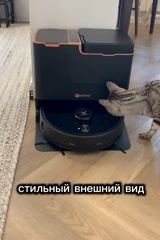 zayac в LOOKY. #пылесос,#Кошки,#Котята,#Шерсть. Эта кошка с большим ...