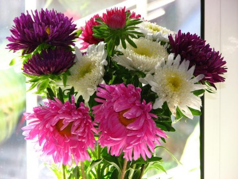 Looky_174876449121395 в LOOKY. . 