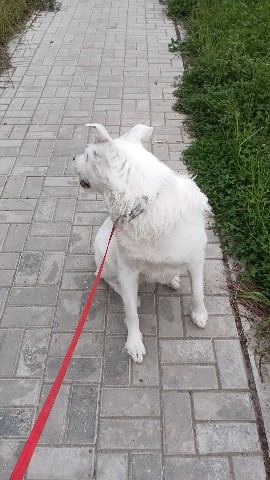 Виталий in LOOKY. . 