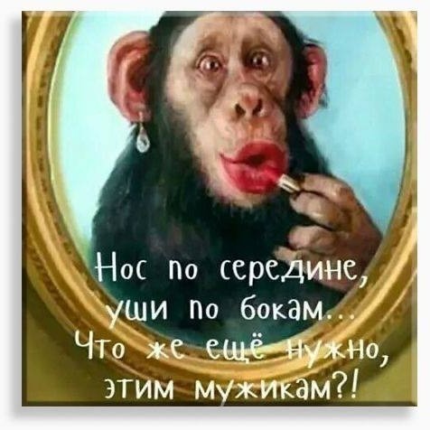 guselnik.irina в LOOKY. . 