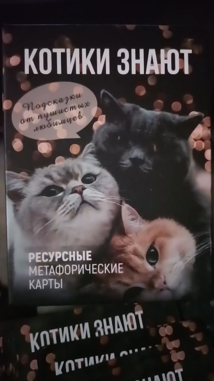 Ирина в LOOKY. #котики#. #котики# 
Моя любима...