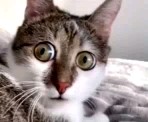 Looky_1694838346504 в LOOKY. . 