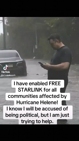 Elon musk в LOOKY. . 