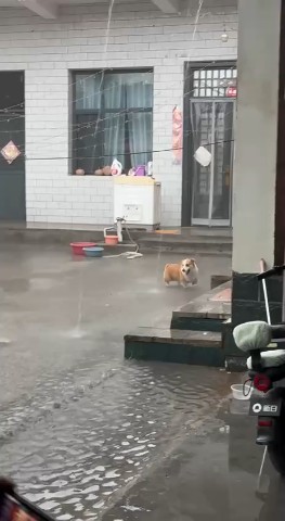Хорошего вечера 🥰