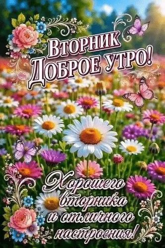 irina b. в LOOKY — Доброе утро вторника! ☕🧇Хорошего дня, прекрасного настроени