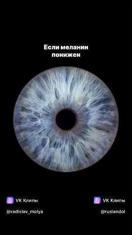 Радислав Хажаев в LOOKY — публикация