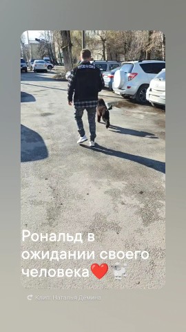 Наталья в LOOKY. . Мальчик свободен к п...